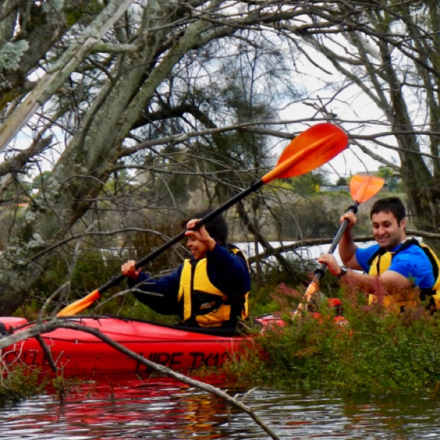 Exploring the wetlands