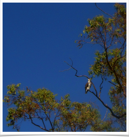 East Perth 18 Feb 2015