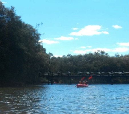 up the creek and trough the bridge